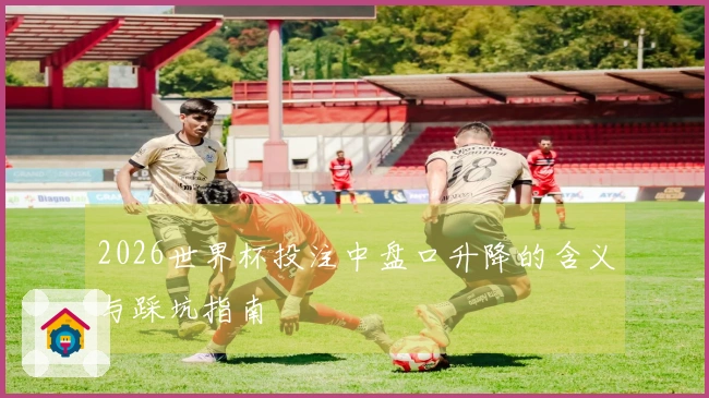 2026世界杯投注中盘口升降的含义与踩坑指南
