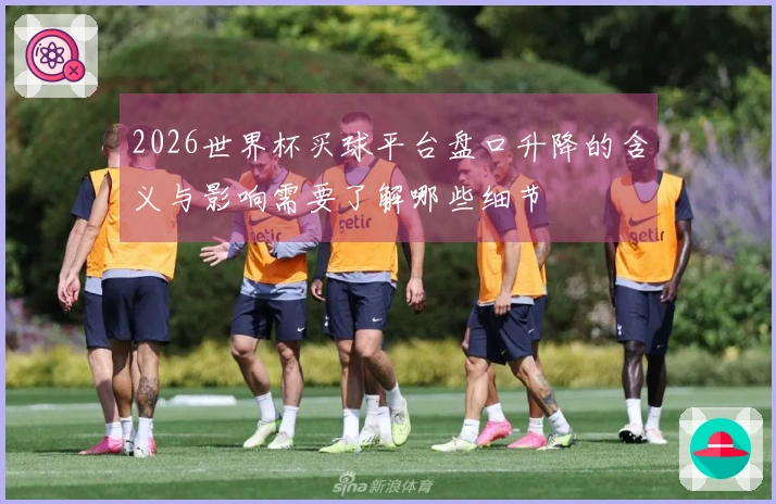 2026世界杯买球平台盘口升降的含义与影响需要了解哪些细节