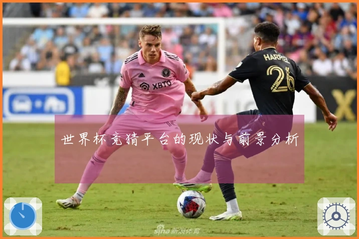 世界杯竞猜平台的现状与前景分析
