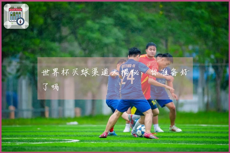世界杯买球渠道大揭秘，你准备好了吗