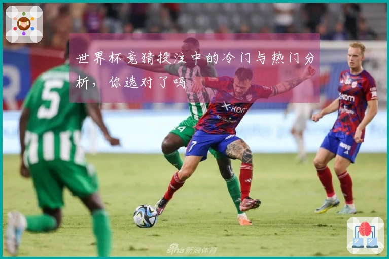 世界杯竞猜投注中的冷门与热门分析，你选对了吗