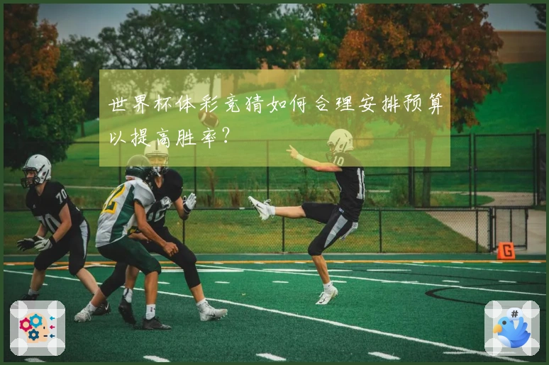 世界杯体彩竞猜如何合理安排预算以提高胜率？