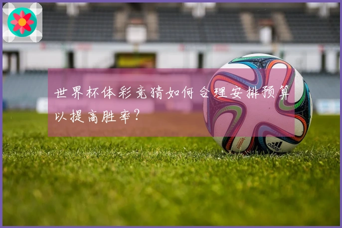 世界杯体彩竞猜如何合理安排预算以提高胜率？