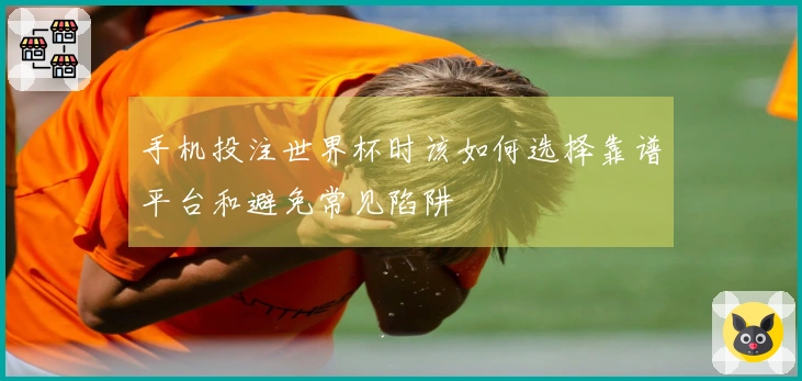 手机投注世界杯时该如何选择靠谱平台和避免常见陷阱