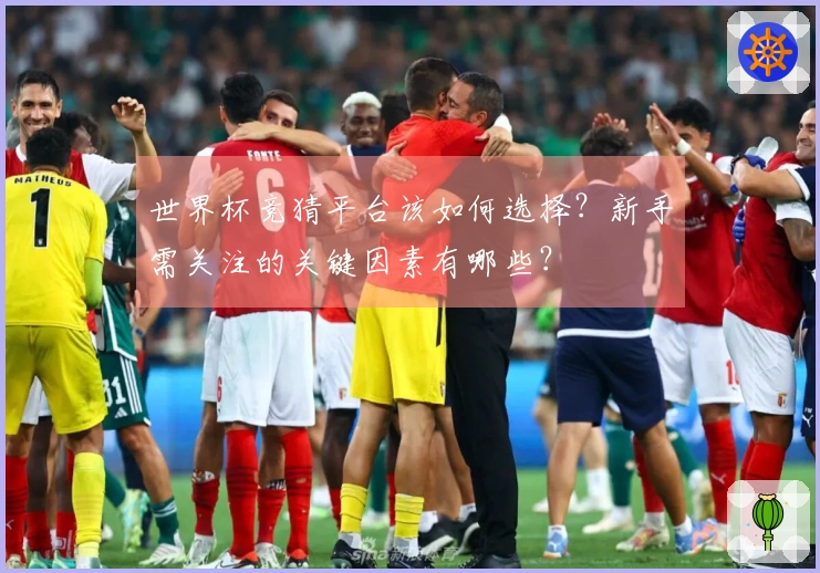 世界杯竞猜平台该如何选择？新手需关注的关键因素有哪些？