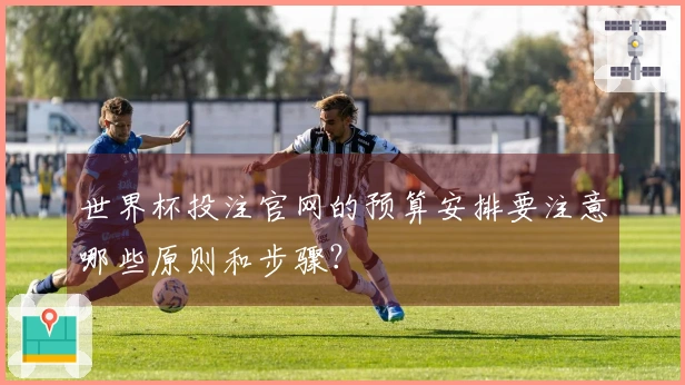 世界杯投注官网的预算安排要注意哪些原则和步骤？