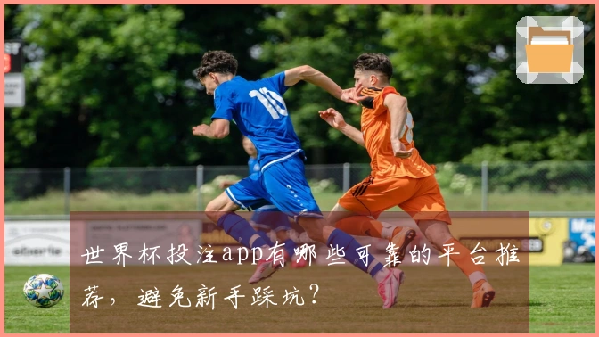 世界杯投注app有哪些可靠的平台推荐，避免新手踩坑？