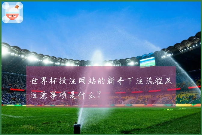 世界杯投注网站的新手下注流程及注意事项是什么？