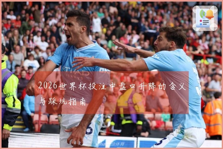 2026世界杯投注中盘口升降的含义与踩坑指南