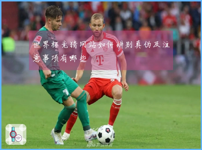 世界杯竞猜网站如何辨别真伪及注意事项有哪些