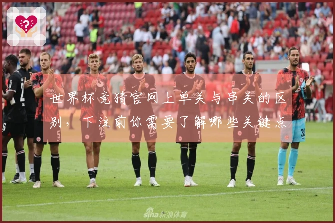 世界杯竞猜官网上单关与串关的区别，下注前你需要了解哪些关键点？