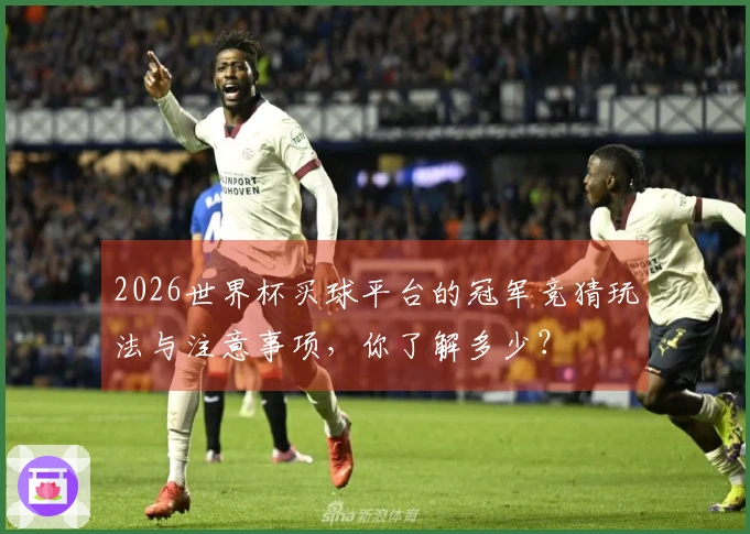 2026世界杯买球平台的冠军竞猜玩法与注意事项，你了解多少？