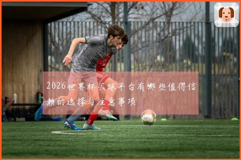2026世界杯买球平台有哪些值得信赖的选择与注意事项