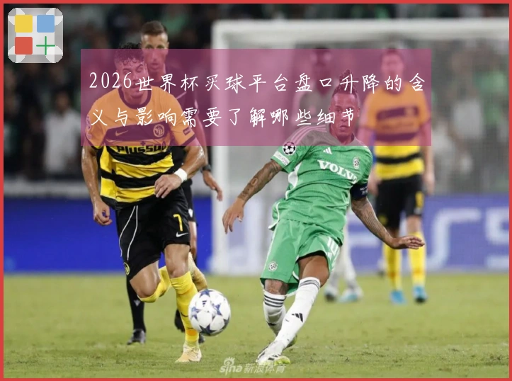 2026世界杯买球平台盘口升降的含义与影响需要了解哪些细节