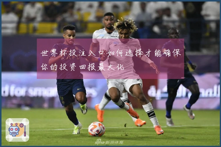 世界杯投注入口如何选择才能确保你的投资回报最大化