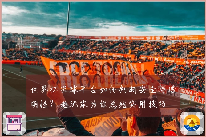 世界杯买球平台如何判断安全与透明性？老玩家为你总结实用技巧