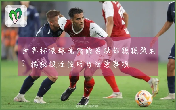 世界杯滚球竞猜能否助你稳稳盈利？揭秘投注技巧与注意事项