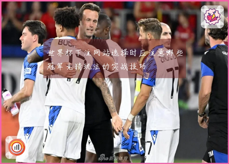 世界杯下注网站选择时应注意哪些冠军竞猜玩法的实战技巧