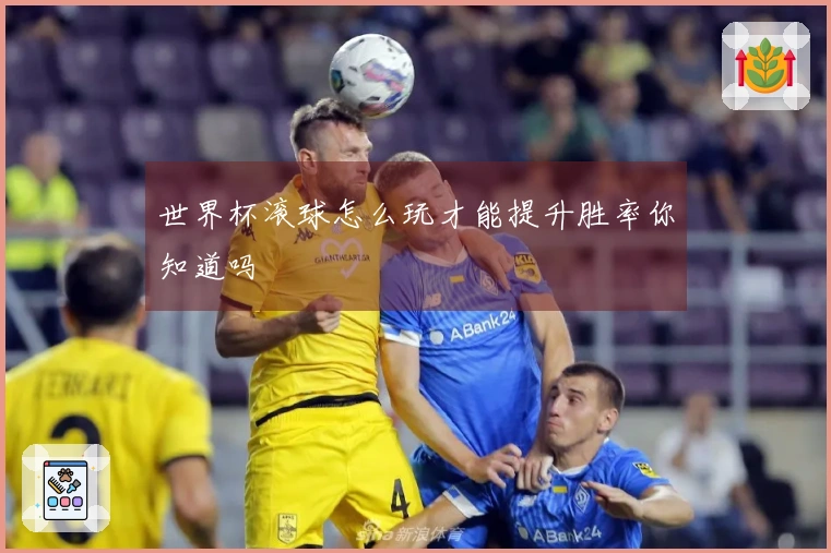 世界杯滚球怎么玩才能提升胜率你知道吗