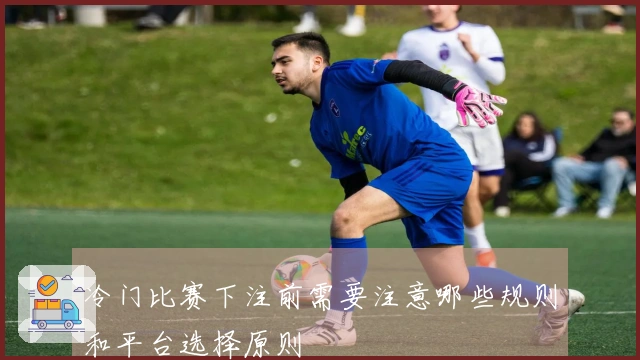 冷门比赛下注前需要注意哪些规则和平台选择原则