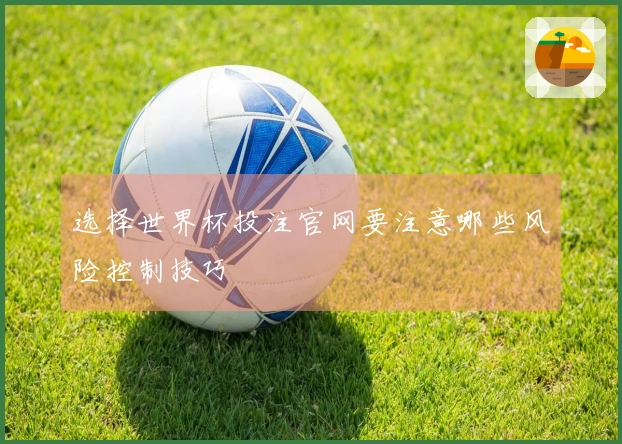 选择世界杯投注官网要注意哪些风险控制技巧