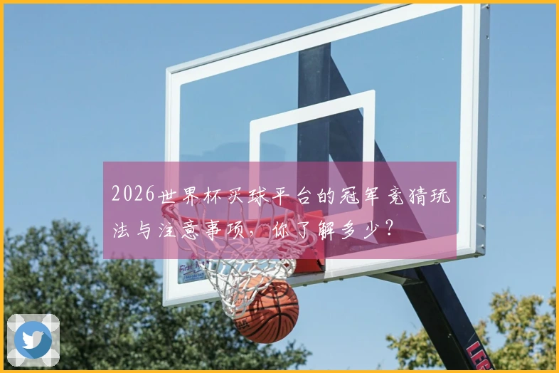2026世界杯买球平台的冠军竞猜玩法与注意事项，你了解多少？