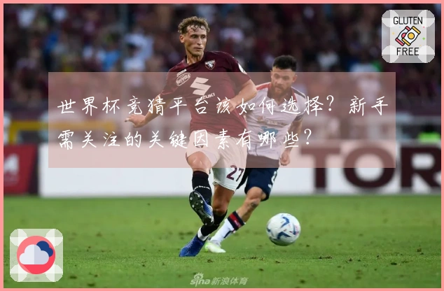 世界杯竞猜平台该如何选择？新手需关注的关键因素有哪些？