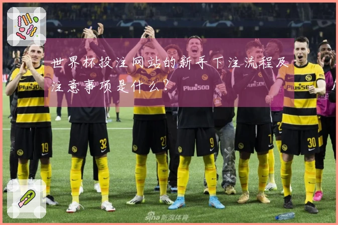 世界杯投注网站的新手下注流程及注意事项是什么？