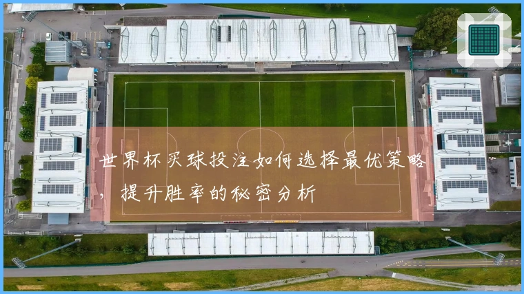 世界杯买球投注如何选择最优策略，提升胜率的秘密分析