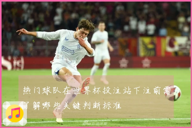 热门球队在世界杯投注站下注前需了解哪些关键判断标准