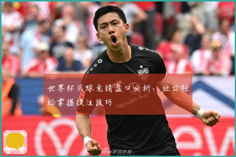 世界杯买球竞猜盘口分析，让你轻松掌握投注技巧